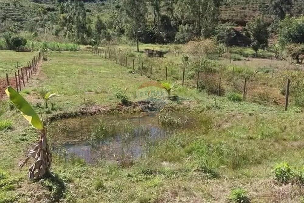 Terreno - Venda - Guaçuí , Espírito Santo - WhatsApp Image 2026-02-10 at 14.03.53 (2).jpeg - 620251006-16