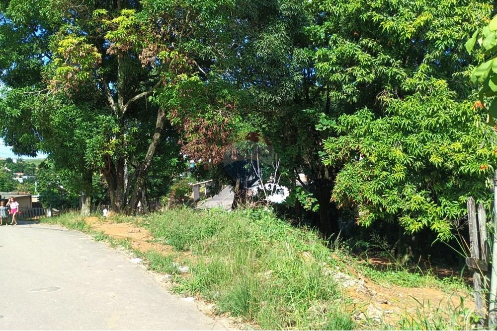 Terreno - Venda - Viana , Espírito Santo - 5ba8a8ec-5690-4a47-a3a7-33e00c7b6ff6.jpg - 620101040-8