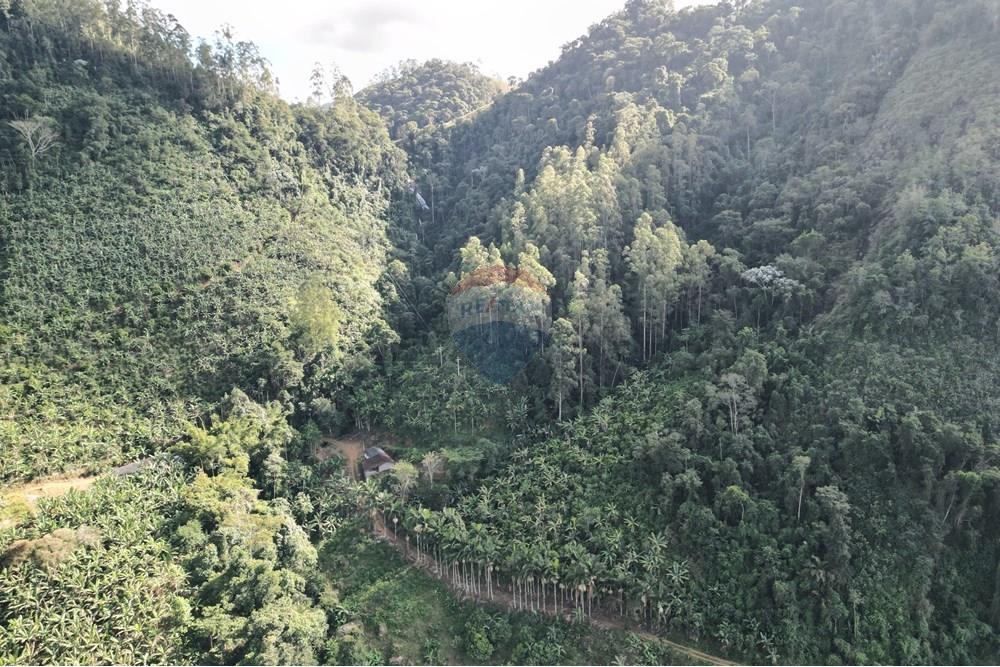 Chácara / Sítio / Fazenda - Venda - Iconha , Espírito Santo - DJI_0526.JPG - 620201020-13