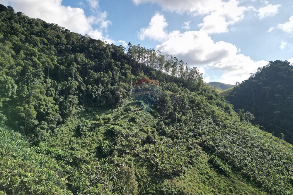 Chácara / Sítio / Fazenda - Venda - Iconha , Espírito Santo - DJI_0565.JPG - 620201020-13