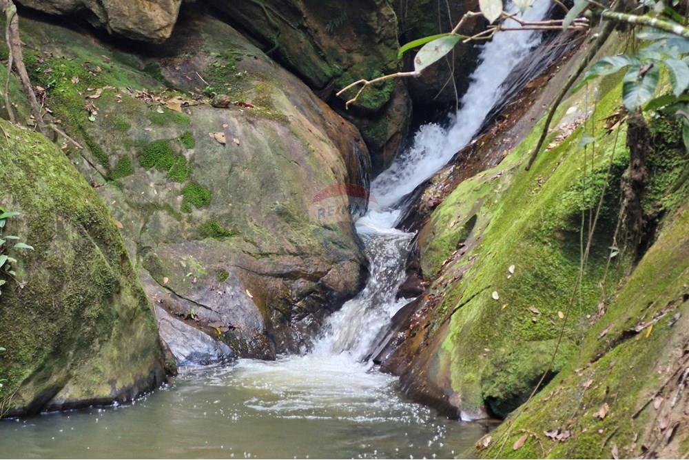 Fazenda - Venda - Aimorés , Minas Gerais - 20250613_142653.jpg - 620131043-13