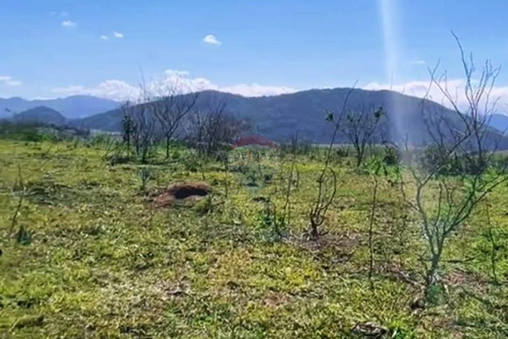 Fazenda - Venda - Anchieta , Espírito Santo - WhatsApp Image 2025-11-04 at 22.40.27.jpeg - 620201024-3