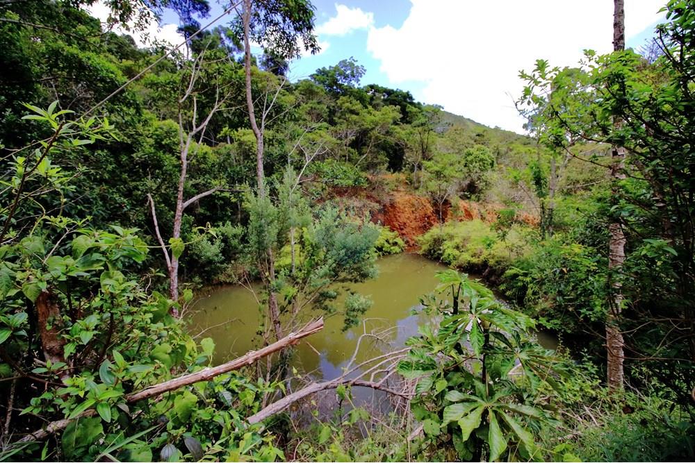 Terreno - Venda - Santa Teresa , Espírito Santo - 5 - Nascente e Represa.JPG - 620171030-22