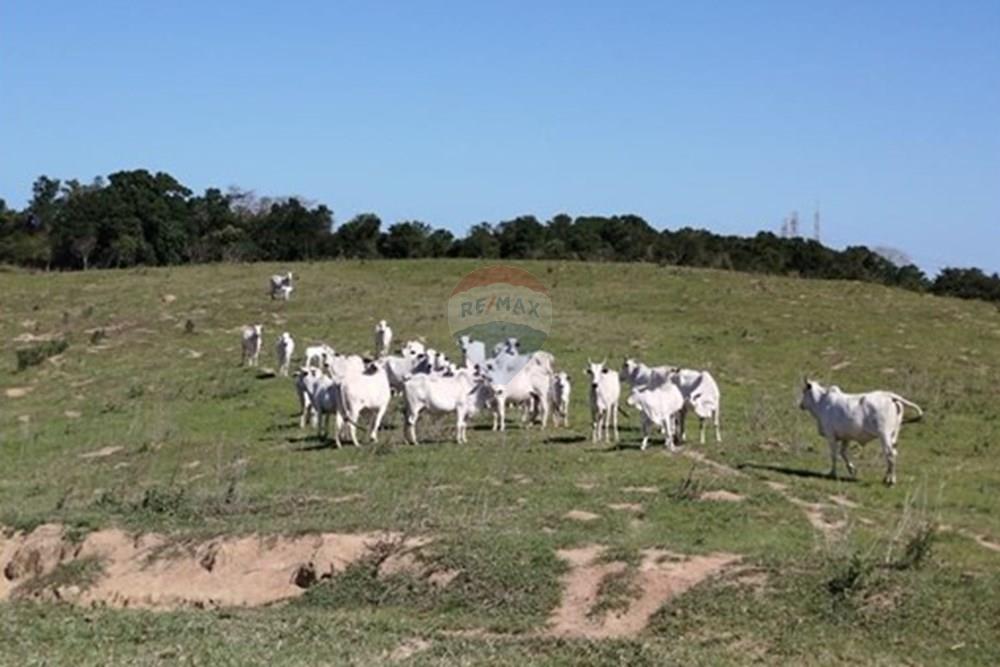 Fazenda - Venda - Anchieta , Espírito Santo - WhatsApp Image 2025-11-04 at 22.37.00 (2).jpeg - 620201024-3