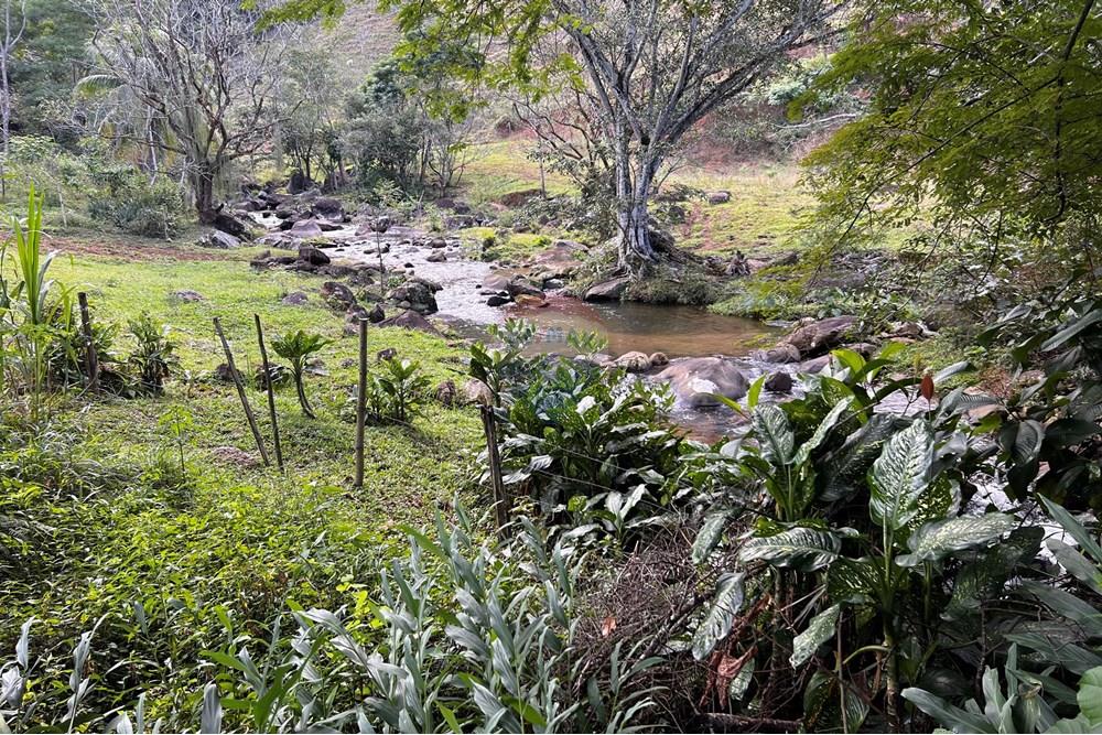 Chácara / Sítio / Fazenda - Venda - Anchieta , Espírito Santo - 20250714_173036324_iOS.jpg - 620201024-1
