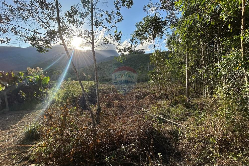 Chácara / Sítio / Fazenda - Venda - Divino de São Lourenço , Espírito Santo - WhatsApp Image 2025-07-30 at 10.47.44.jpeg - 620251001-38