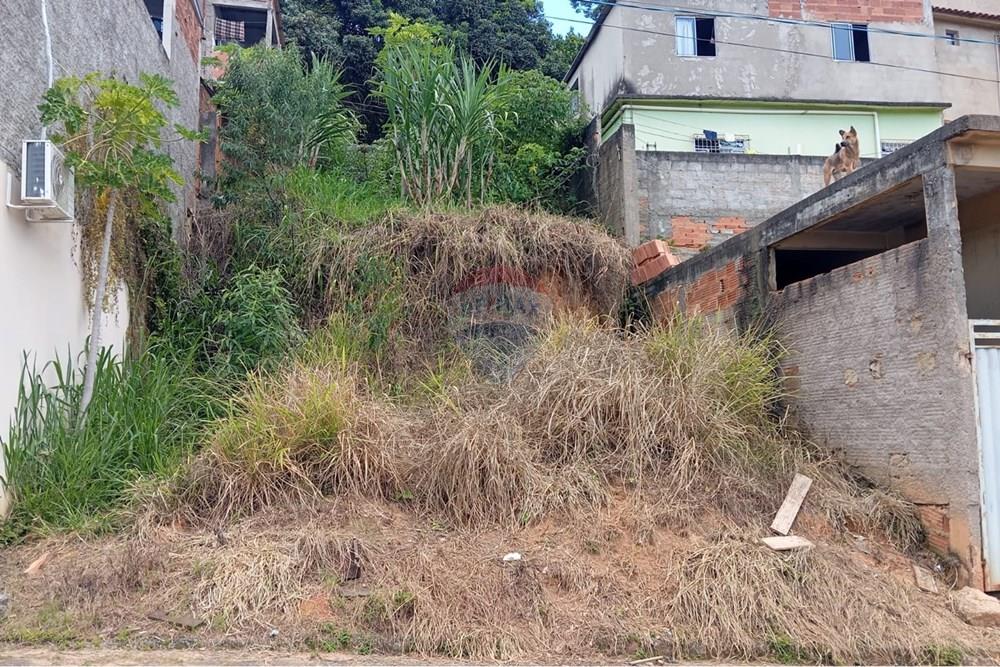 Terreno - Venda - Guaçuí , Espírito Santo - WhatsApp Image 2026-01-27 at 10.00.47.jpeg - 620251019-5