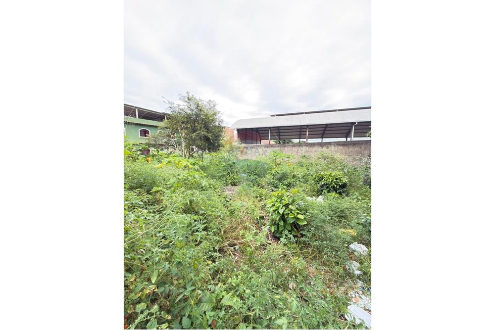 Terreno - Venda - Rio Novo do Sul , Espírito Santo - WhatsApp Image 2025-11-28 at 15.38.42.jpeg - 620291001-2