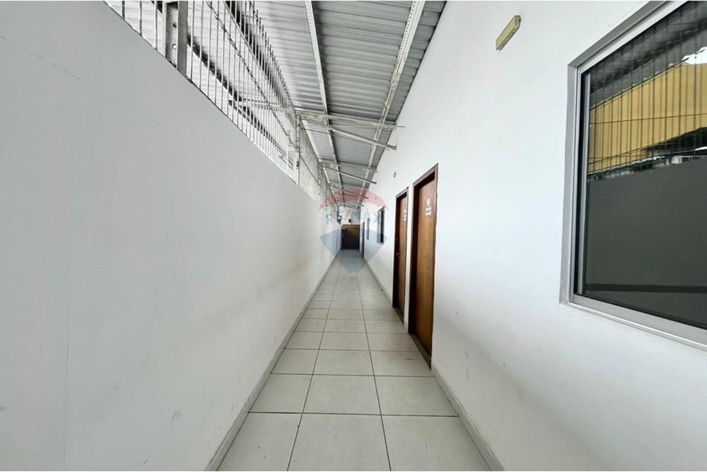 Prédio - Alugar - Vitória , Espírito Santo - PHOTO-2026-01-06-14-27-34 (3).jpg - 620231008-7