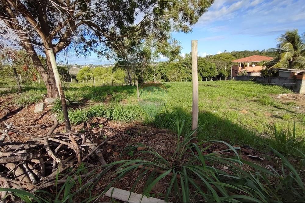 Terreno - Venda - Anchieta , Espírito Santo - WhatsApp Image 2025-04-11 at 15.59.09.jpeg - 620181007-41