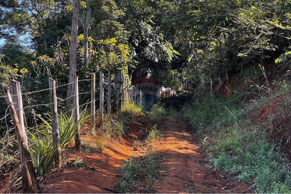 Chácara / Sítio / Fazenda - Venda - Viana , Espírito Santo - IMG_4708.jpg - 620101031-17