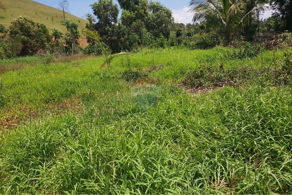 Chácara / Sítio / Fazenda - Venda - Itapemirim , Espírito Santo - b9b49057-5fcf-49b7-a7c2-353d60ee5edd.JPG - 620201020-26