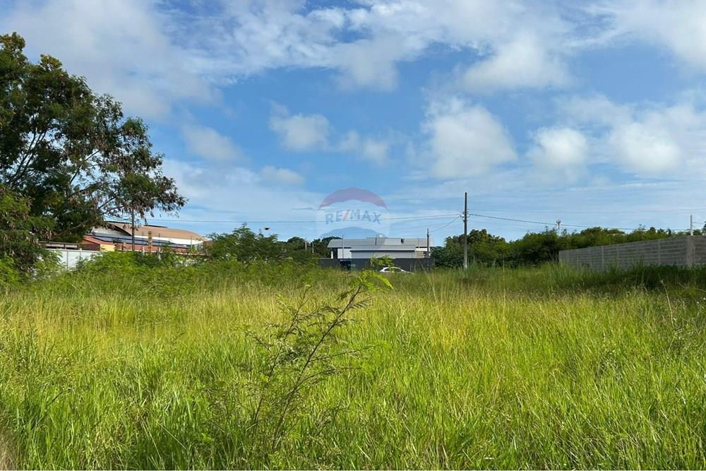 Terreno - Venda - Anchieta , Espírito Santo - WhatsApp Image 2026-03-20 at 17.32.19.jpeg - 620181024-4