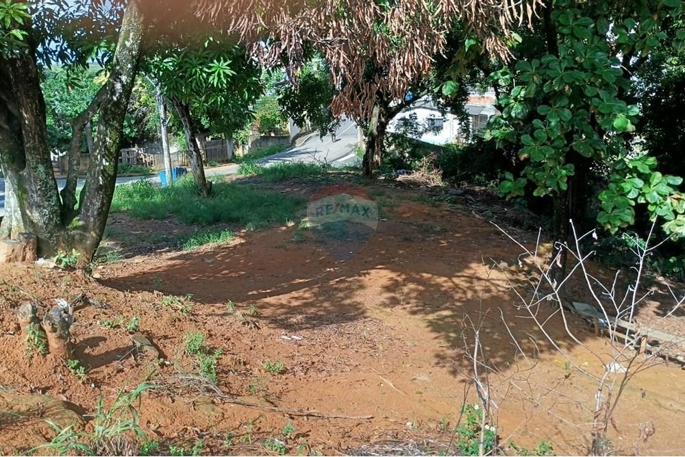 Terreno - Venda - Viana , Espírito Santo - 29f44317-4dce-4f72-b297-d79816a8eaff.jpg - 620101040-8