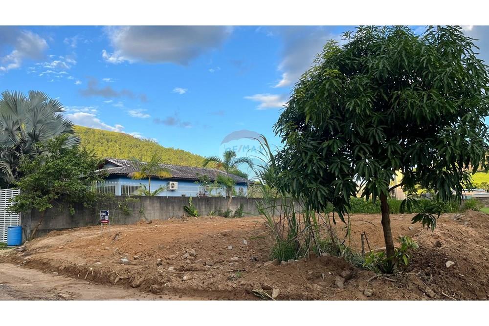 Terreno - Venda - Rio Novo do Sul , Espírito Santo - 3.jpeg - 620291004-8