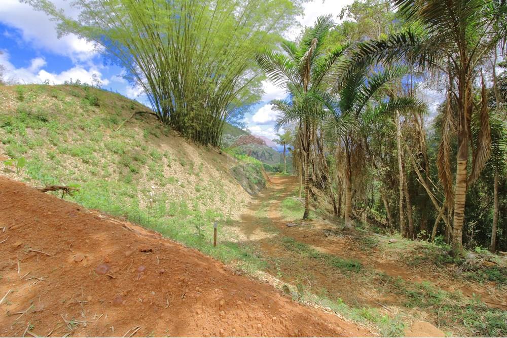 Chácara / Sítio / Fazenda - Venda - Santa Teresa , Espírito Santo - 14 - Acesso Glebas 2 e 6.JPG - 620171030-37