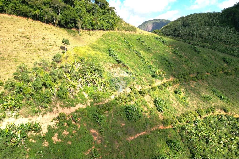 Chácara / Sítio / Fazenda - Venda - Iconha , Espírito Santo - DJI_0540.JPG - 620201020-13