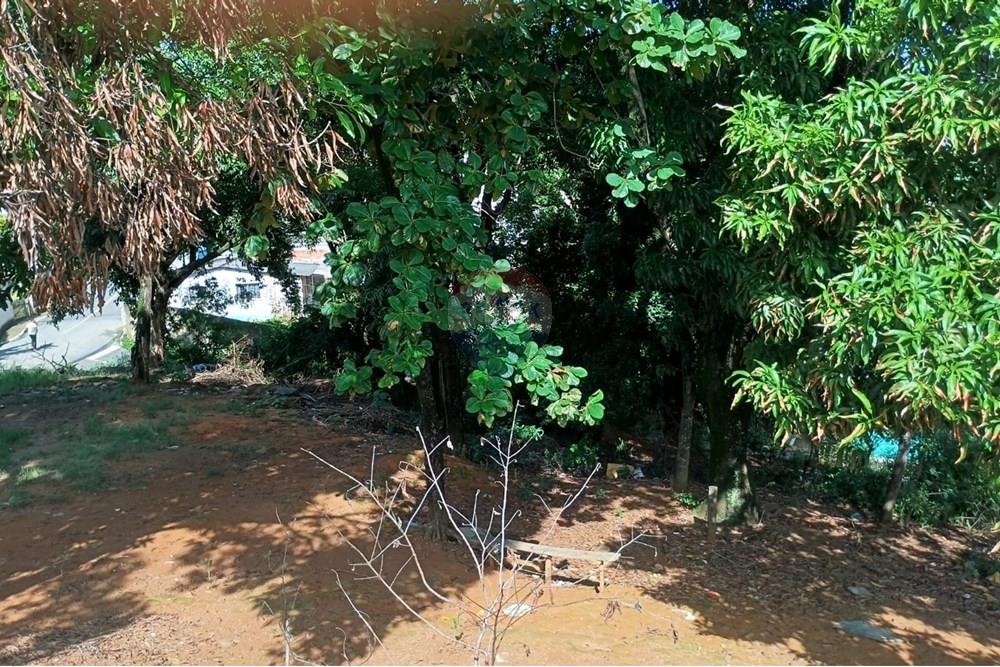 Terreno - Venda - Viana , Espírito Santo - bd8500e4-5ad4-4c2f-bd90-ec7169dd1139.jpg - 620101040-8