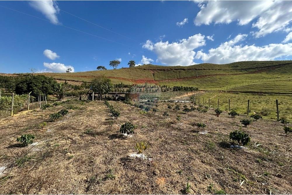 Chácara / Sítio / Fazenda - Venda - Guaçuí , Espírito Santo - WhatsApp Image 2025-09-22 at 10.16.34 (7).jpeg - 620251015-18