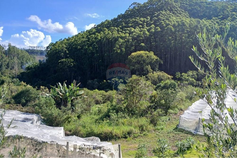 Terreno - Venda - Marechal Floriano , Espírito Santo - WhatsApp Image 2026-02-24 at 11.16.05 (5).jpeg - 620231013-10