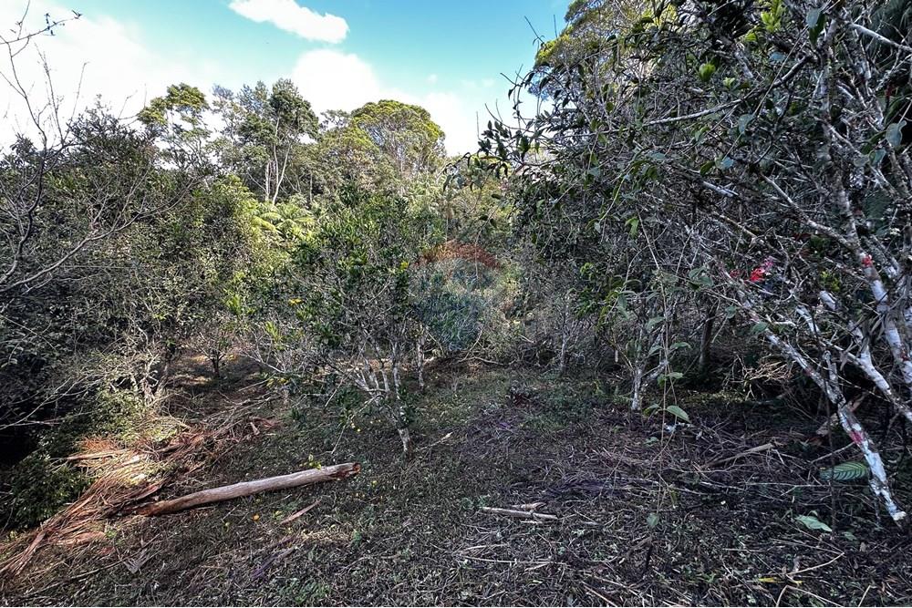 Terreno - Venda - Domingos Martins , Espírito Santo - 53-c-7.jpg - 620171046-22