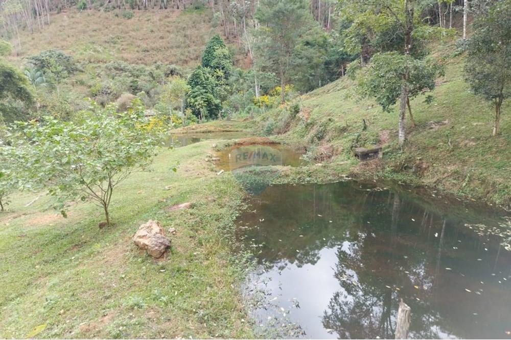 Chácara / Sítio / Fazenda - Venda - Vargem Alta , Espírito Santo - WhatsApp Image 2025-10-21 at 14.34.34 (7).jpeg - 620171077-6