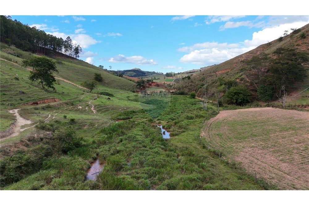 Fazenda - Venda - Aimorés , Minas Gerais - 4 - 620131043-13