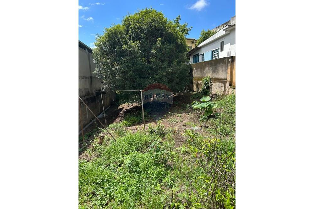 Terreno - Venda - São José do Calçado , Espírito Santo - WhatsApp Image 2026-03-03 at 11.12.54 (4).jpeg - 620251017-10