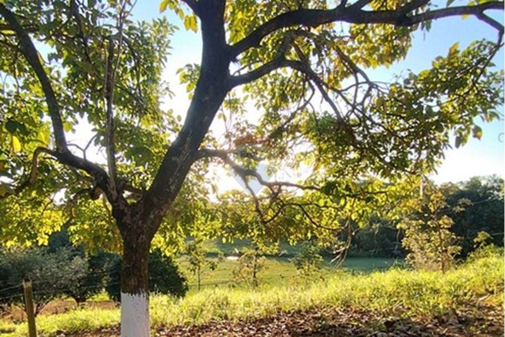 Chácara / Sítio / Fazenda - Venda - Vila Velha , Espírito Santo - IMG_20250608_162606.jpg - 620101031-18