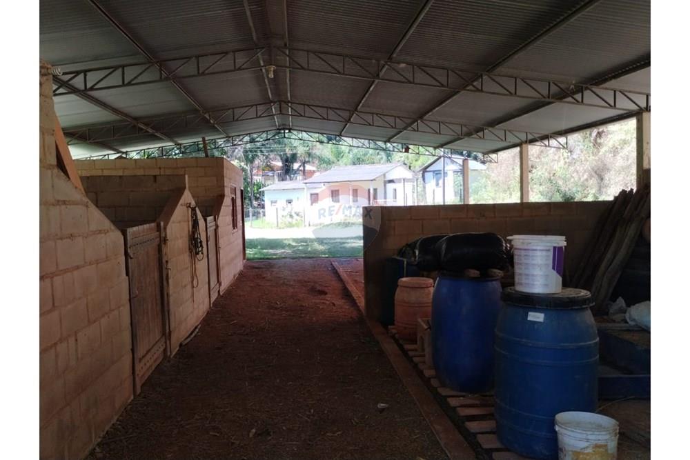 Chácara / Sítio / Fazenda - Venda - Guaçuí , Espírito Santo - WhatsApp Image 2025-05-20 at 11.46.59.jpeg - 620251001-6