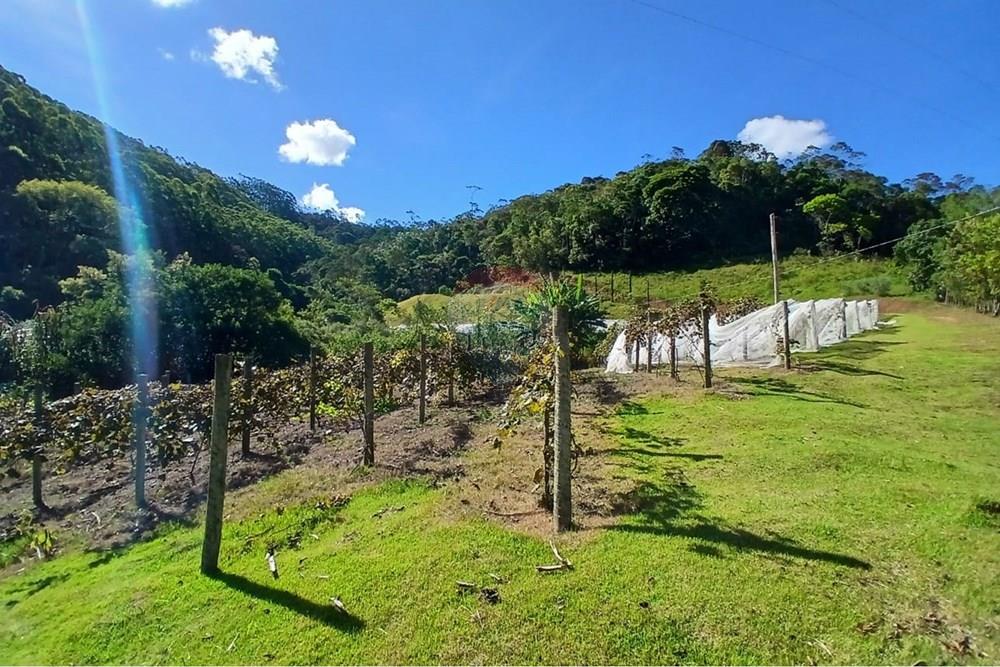 Terreno - Venda - Marechal Floriano , Espírito Santo - WhatsApp Image 2026-02-24 at 11.16.05 (8).jpeg - 620231013-10