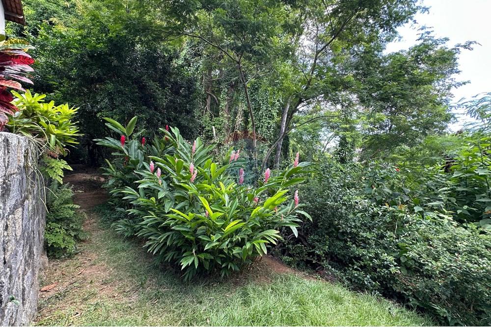 Terreno - Venda - Vitória , Espírito Santo - WhatsApp Image 2025-03-20 at 15.13.22.jpeg - 620171023-49