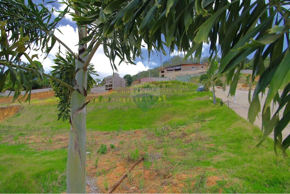 Terreno - Venda - Santa Teresa , Espírito Santo - IMG_4906.JPG - 620171030-32