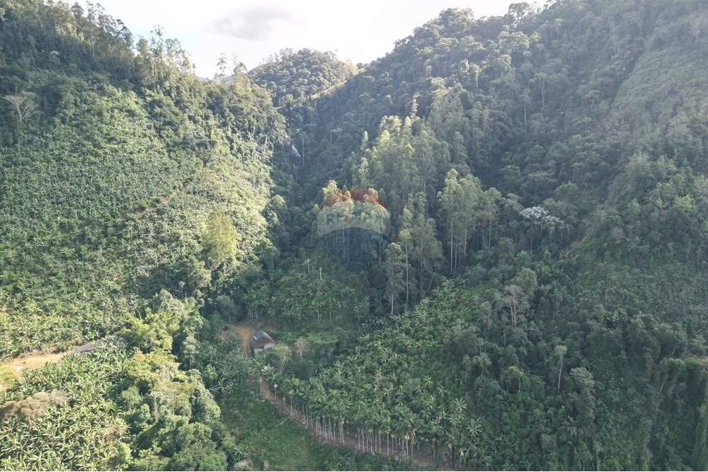 Chácara / Sítio / Fazenda - Venda - Iconha , Espírito Santo - DJI_0527.JPG - 620201020-13