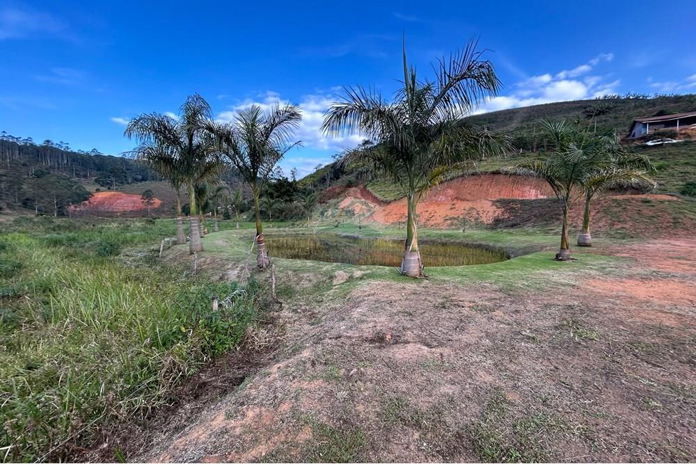 Chácara / Sítio / Fazenda - Venda - Ibitirama , Espírito Santo - Gilvan Chácara (3).jpeg - 620251015-35