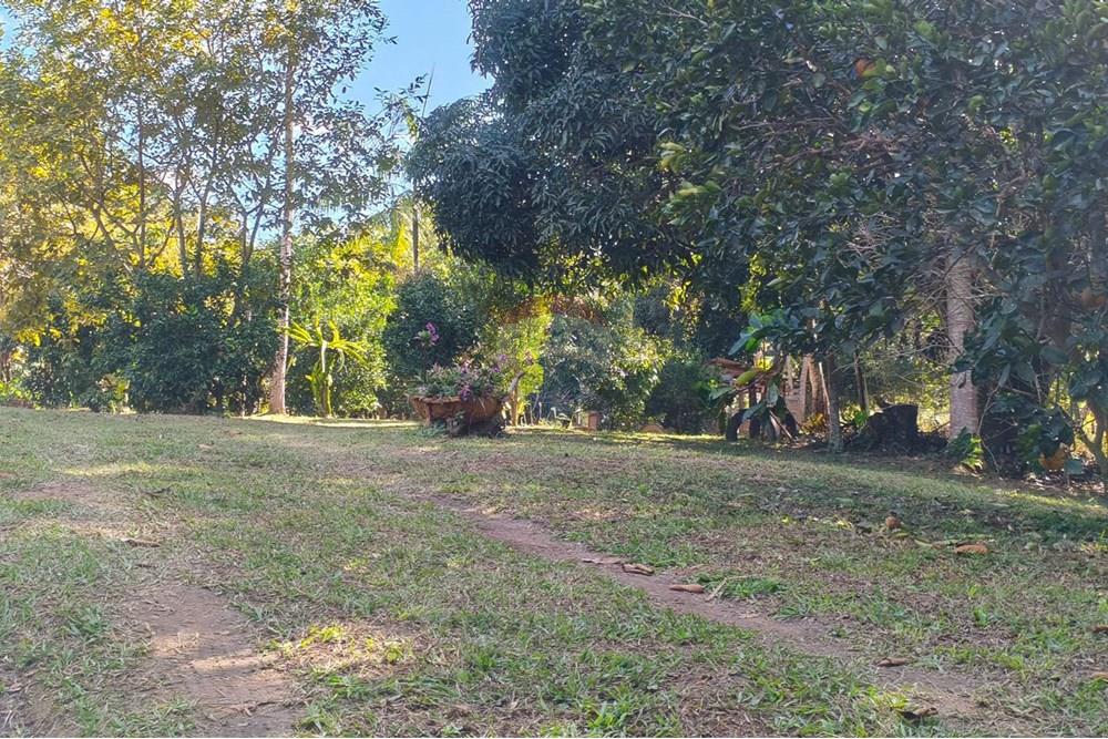 Chácara / Sítio / Fazenda - Venda - Guaçuí , Espírito Santo - WhatsApp Image 2025-07-16 at 09.16.26 (2).jpeg - 620251001-23