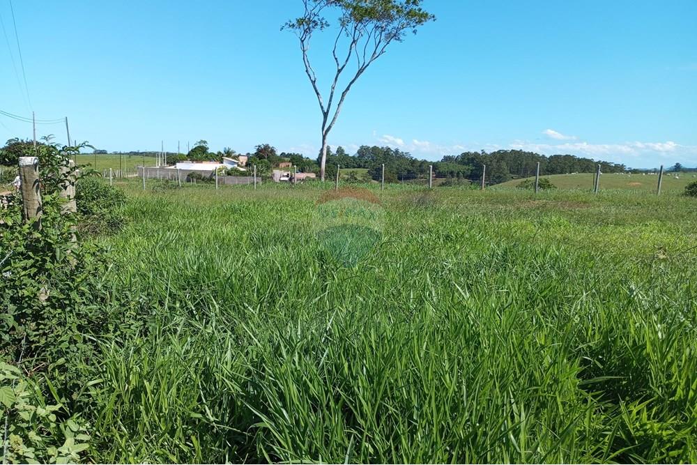 Terreno - Venda - Anchieta , Espírito Santo - IMG_20250520_125155.jpg - 620181007-45