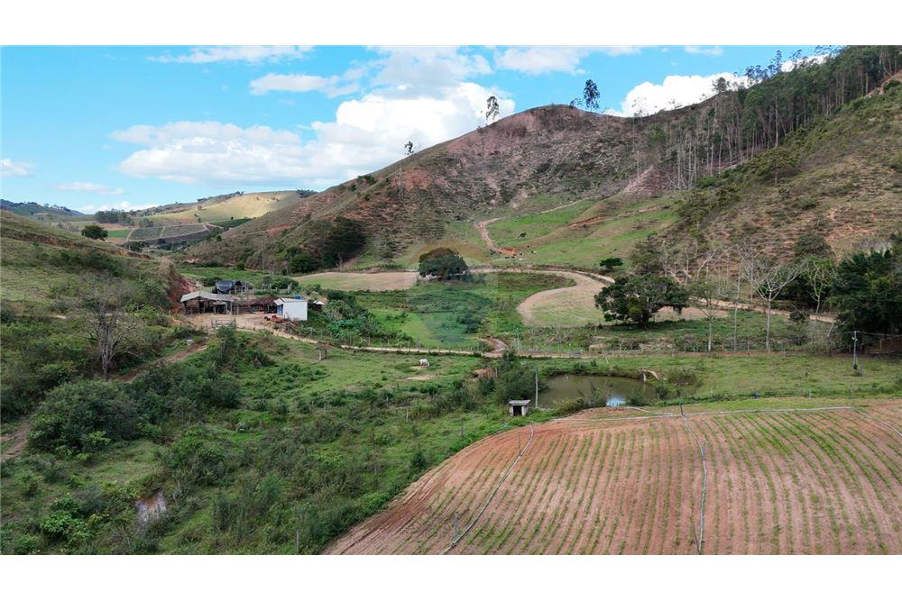 Fazenda - Venda - Aimorés , Minas Gerais - 7 - 620131043-13