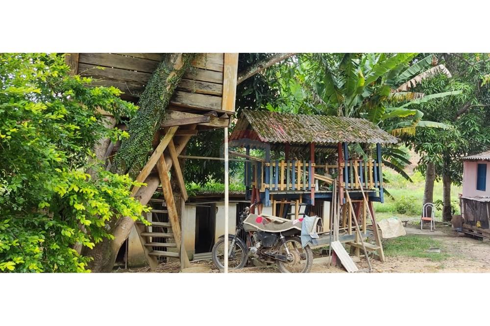 Chácara / Sítio / Fazenda - Venda - Guaçuí , Espírito Santo - WhatsApp Image 2026-04-07 at 16.51.25.jpeg - 620251022-19