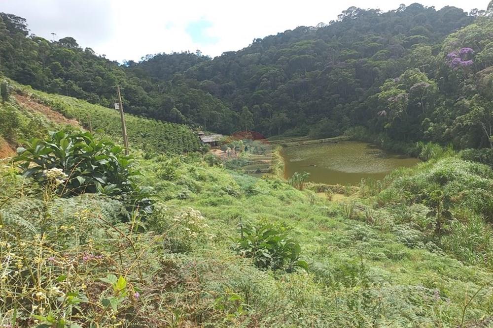 Chácara / Sítio / Fazenda - Venda - Santa Maria de Jetibá , Espírito Santo - 20260328_100231.jpg - 620211025-2