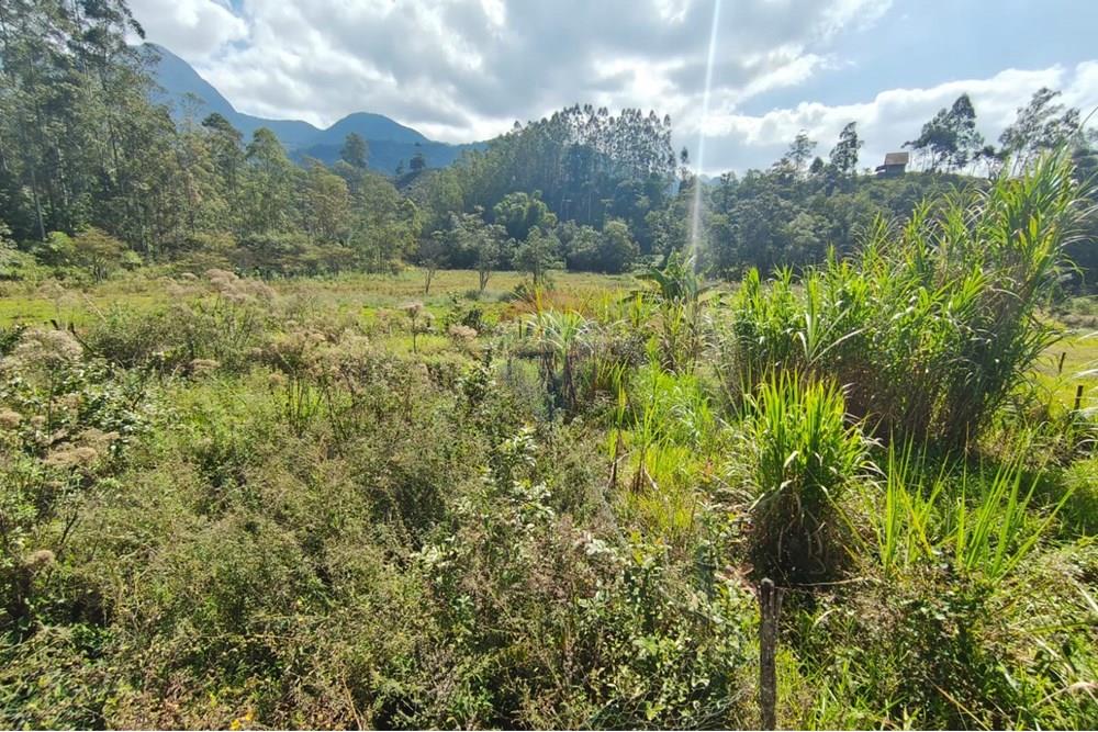 Terreno - Venda - São Lourenço , Minas Gerais - Limo Verde Terreno.jpeg - 620251013-13