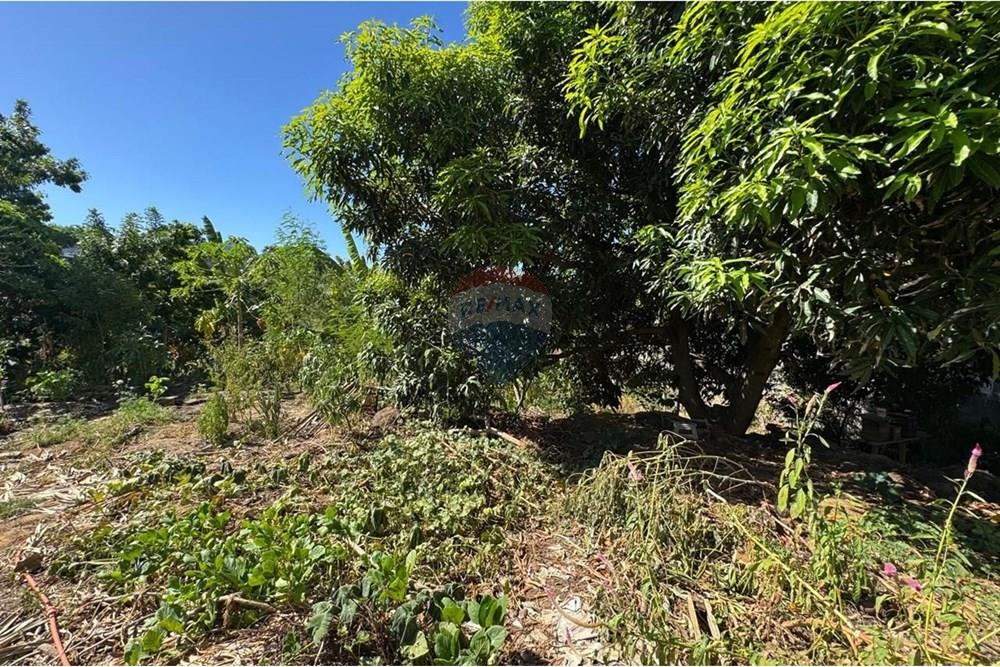 Terreno - Venda - Vitória , Espírito Santo - WhatsApp Image 2025-02-19 at 02.18.58 (1).jpeg - 620131108-8