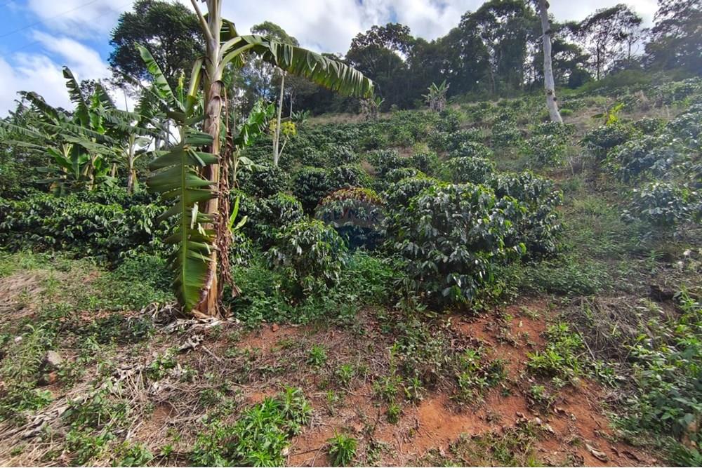 Chácara / Sítio / Fazenda - Venda - Guaçuí , Espírito Santo - São Rumão (3).jpeg - 620251013-14