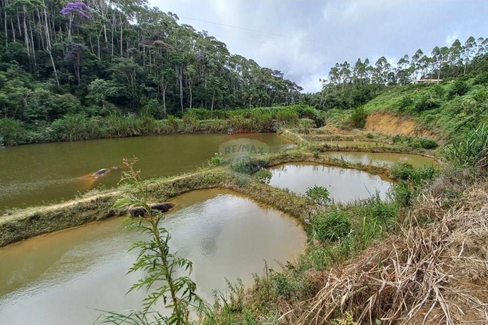 Chácara / Sítio / Fazenda - Venda - Santa Maria de Jetibá , Espírito Santo - 20260328_095852.jpg - 620211025-2