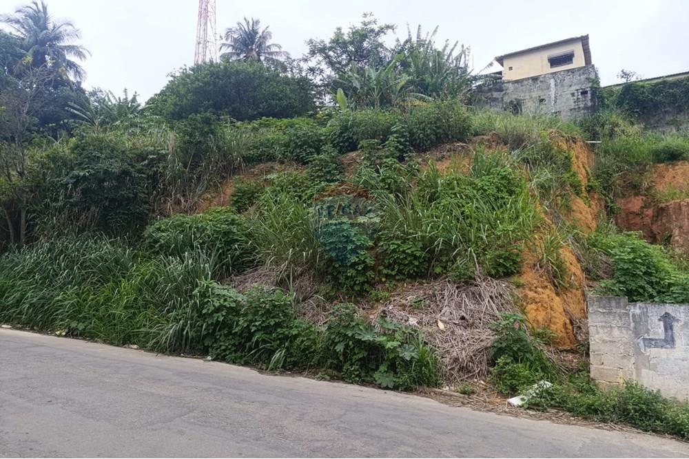 Terreno - Venda - Cariacica , Espírito Santo - WhatsApp Image 2025-11-13 at 10.32.06.jpeg - 620171073-2