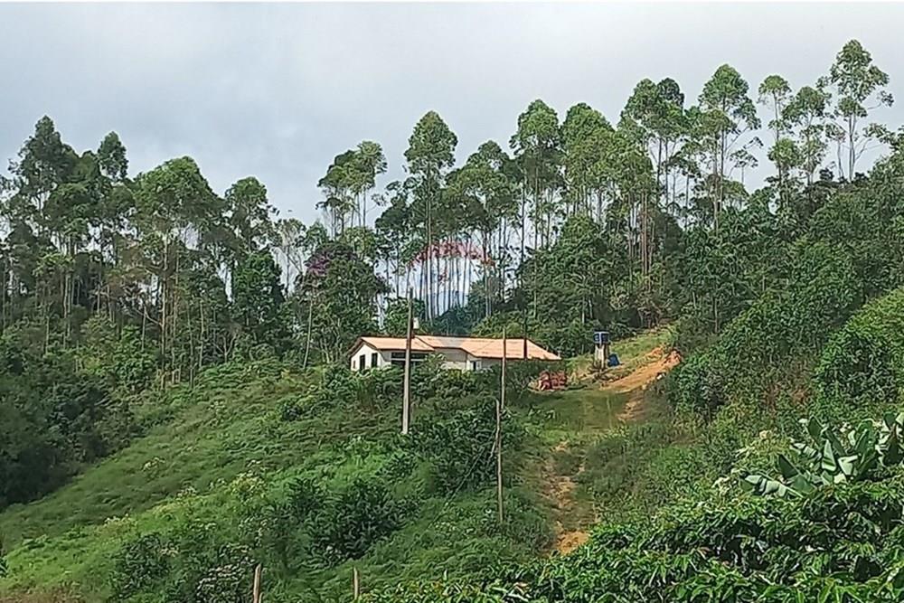 Chácara / Sítio / Fazenda - Venda - Santa Maria de Jetibá , Espírito Santo - 20260328_095709.jpg - 620211025-2