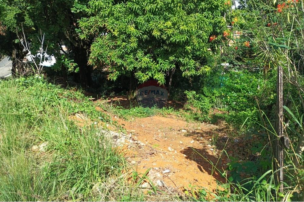 Terreno - Venda - Viana , Espírito Santo - 976f4415-8f21-43d5-92e8-97c7648ed50f.jpg - 620101040-8