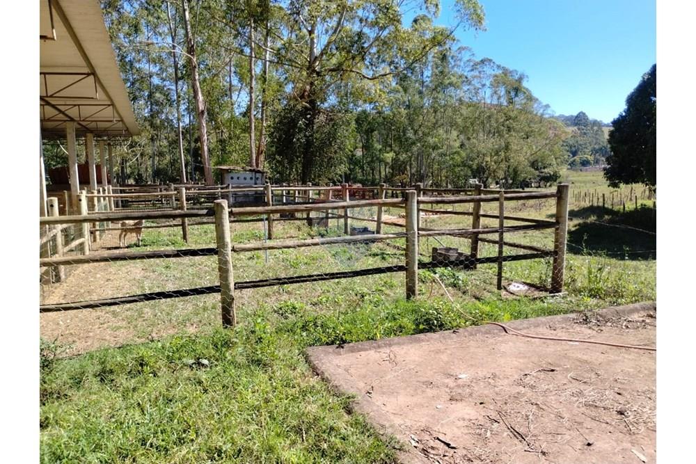 Chácara / Sítio / Fazenda - Venda - Guaçuí , Espírito Santo - WhatsApp Image 2025-05-22 at 12.22.26.jpeg - 620251001-6