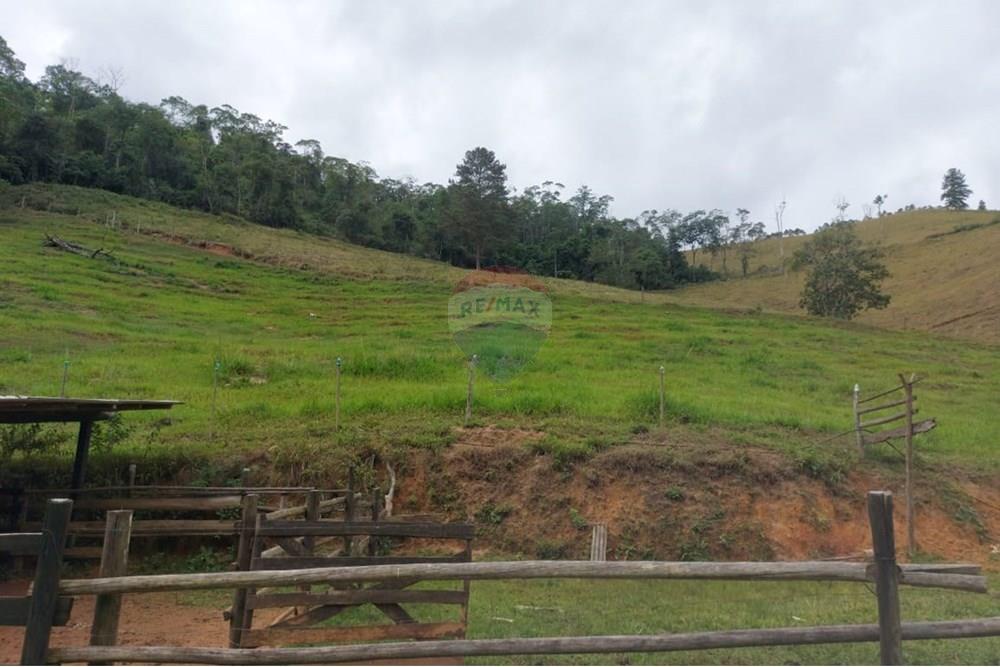 Chácara / Sítio / Fazenda - Venda - Vargem Alta , Espírito Santo - WhatsApp Image 2025-10-21 at 14.34.34 (10).jpeg - 620171077-6