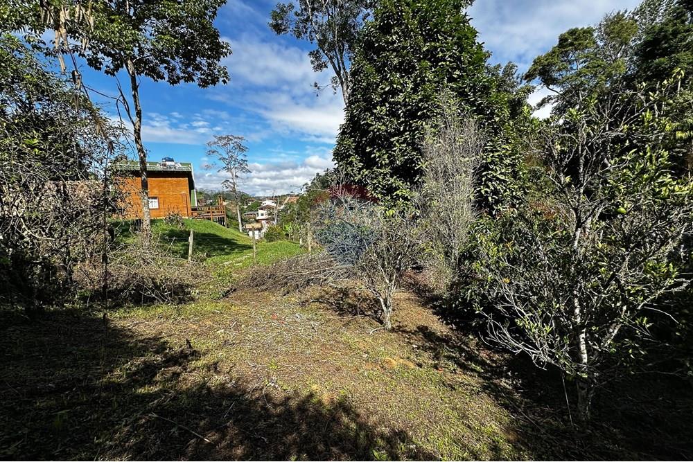 Terreno - Venda - Domingos Martins , Espírito Santo - 53-c-20.jpg - 620171046-22